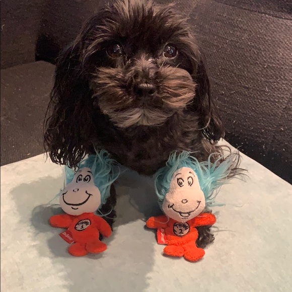 thing1andthing2